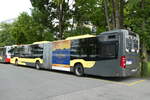 (278'257) - STI Thun - Nr. 714/BE 427'714 - Mercedes am 1. August 2025 bei der Schiffländte Thun