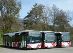 (241'938) - CarPostal Ouest - JU 36'548 - Solaris am 29.