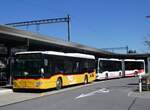 (273'839)  Amstein, Willisau - Nr.