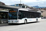 (279'511) - Schneider, Ermenswil - Nr.