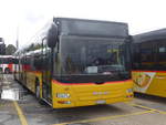 (199'036) - CarPostal Ouest - VD 495'042 - MAN am 28.