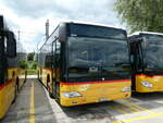 (236'931) - CarPostal Ouest - VD 335'347 - Mercedes am 6.