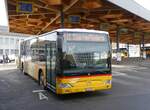 (270'564) - PostAuto Wallis - Nr. 11/VS 241'997/PID 5152 - Mercedes am 2. Januar 2025 beim Bahnhof Sion