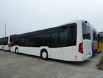 (229'287) - ARL Viganello - (615'220) - Mercedes am 16.