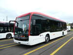 (255'129) - RVBW Wettingen - (143'433) - Mercedes am 13.